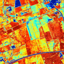 vine precision farming